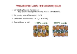 PARDEAMIENTO DE LA PIÑA MÍNIMAMENTE PROCESADA

1. Variedad apta para el procesado
        baja tendencia al pardeamiento, menor actividad PPO

2. Temperatura de refrigeración: 2-4ºC

3. Atmósferas modificadas: 5% O2 + 10% CO2

4. Coloración de la piel
                            60-70% naranja         80-90% naranja
 