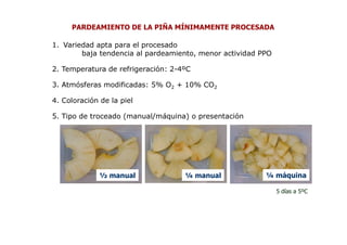 PARDEAMIENTO DE LA PIÑA MÍNIMAMENTE PROCESADA

1. Variedad apta para el procesado
        baja tendencia al pardeamiento, menor actividad PPO

2. Temperatura de refrigeración: 2-4ºC

3. Atmósferas modificadas: 5% O2 + 10% CO2

4. Coloración de la piel

5. Tipo de troceado (manual/máquina) o presentación




              ½ manual              ¼ manual             ¼ máquina

                                                              5 días a 5ºC
 