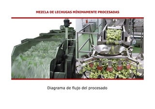 MEZCLA DE LECHUGAS MÍNIMAMENTE PROCESADAS




     Diagrama de flujo del procesado
 