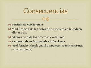 Consecuencias
                
 Perdida de ecosistemas
 Modificación de los ciclos de nutrientes en la cadena
  alimenticia.
 Alteraracion de los procesos evolutivos
 Aumento de enfermedades infecciosas
 proliferación de plagas al aumentar las temperaturas
  excesivamente,
 