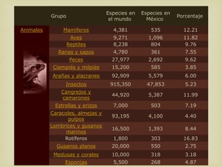 Especies en   Especies en
           Grupo                                              Porcentaje
                                   el mundo       México

Animales        Mamíferos           4,381          535          12.21
                    Aves            9,271         1,096         11.82
                   Reptiles         8,238          804           9.76
              Ranas y sapos         4,780          361           7.55
                    Peces           27,977        2,692          9.62
            Ciempiés y milpiés      15,200         585           3.85
           Arañas y alacranes       92,909        5,579          6.00
                 Insectos          915,350        47,853         5.23
               Cangrejos y
                                    44,920        5,387         11.99
               camarones
            Estrellas y erizos      7,000          503           7.19
           Caracoles, almejas y
                                    93,195        4,100          4.40
                 pulpos
           Lombrices y gusanos
                                    16,500        1,393          8.44
                 marinos
                Rotíferos           1,800          303          16.83
             Gusanos planos         20,000         550           2.75
            Medusas y corales       10,000         318           3.18
                Esponjas            5,500          268           4.87
 