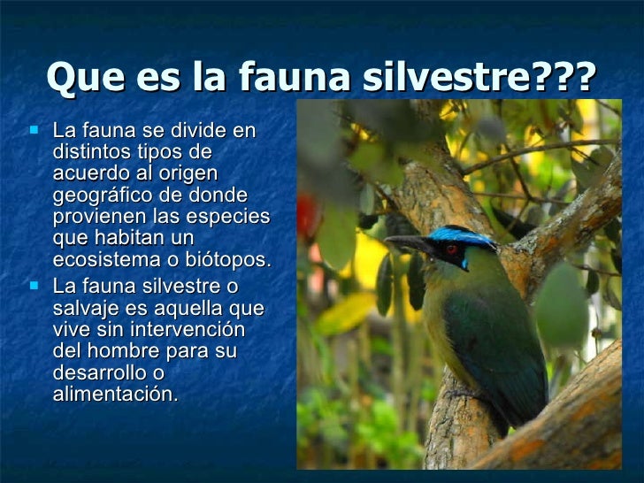 Conservación de fauna en agroecosistemas ut