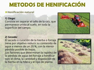 METODOS DE HENIFICACIÓN
Henificación natural
1) Siega:
Consiste en separar el tallo de la raíz, que
permanece unida al suelo, en toda la
superficie del campo.
2) Secado:
El secado o curación de la hierba o forraje
tiene por objetivo reducir su contenido de
agua a menos de un 20 %, con la menor
pérdida posible de hojas.
Los factores que determinan la rapidez de
la pérdida de agua del forraje a henificar
son: el clima, la cantidad y disposición de
la hierba en la hilera y el tipo de planta.
 