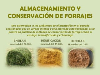 ALMACENAMIENTO Y
CONSERVACIÓN DE FORRAJES
ENSILAJE
Humedad del 67-70%
HENOLAJE
Humedad del 35%
Una alternativa a los problemas de alimentación en el ganado
ocasionados por un verano intenso y una marcada estacionalidad, es la
puesta en práctica de métodos de conservación de forrajes como el
ensilaje, la henificación y el henolaje.
HENIFICACIÓN
Humedad del 15-20%
 