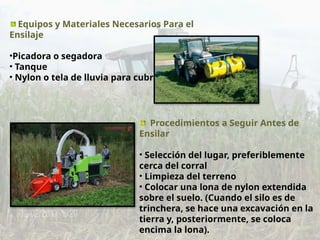 Equipos y Materiales Necesarios Para el
Ensilaje
•Picadora o segadora
• Tanque
• Nylon o tela de lluvia para cubrir
Procedimientos a Seguir Antes de
Ensilar
• Selección del lugar, preferiblemente
cerca del corral
• Limpieza del terreno
• Colocar una lona de nylon extendida
sobre el suelo. (Cuando el silo es de
trinchera, se hace una excavación en la
tierra y, posteriormente, se coloca
encima la lona).
 