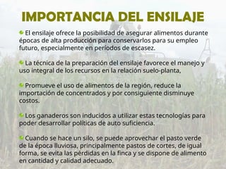 IMPORTANCIA DEL ENSILAJE
El ensilaje ofrece la posibilidad de asegurar alimentos durante
épocas de alta producción para conservarlos para su empleo
futuro, especialmente en períodos de escasez.
La técnica de la preparación del ensilaje favorece el manejo y
uso integral de los recursos en la relación suelo-planta,
Promueve el uso de alimentos de la región, reduce la
importación de concentrados y por consiguiente disminuye
costos.
Los ganaderos son inducidos a utilizar estas tecnologías para
poder desarrollar políticas de auto suficiencia.
Cuando se hace un silo, se puede aprovechar el pasto verde
de la época lluviosa, principalmente pastos de cortes, de igual
forma, se evita las pérdidas en la finca y se dispone de alimento
en cantidad y calidad adecuado.
 