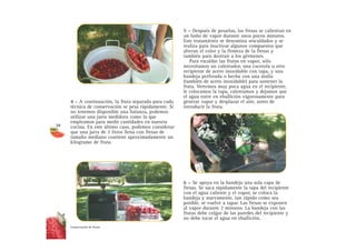 4 – A continuación, la fruta separada para cada
técnica de conservación se pesa rápidamente. Si
no tenemos disponible una balanza, podemos
utilizar una jarra medidora como la que
empleamos para medir cantidades en nuestra
cocina. En este último caso, podemos considerar
que una jarra de 2 litros llena con fresas de
tamaño mediano contiene aproximadamente un
kilogramo de fruta.
5 – Después de pesarlas, las fresas se calientan en
un baño de vapor durante unos pocos minutos.
Este tratamiento se denomina «escaldado» y se
realiza para inactivar algunos compuestos que
alteran el color y la firmeza de la fresas y
también para destruir a los gérmenes.
Para escaldar las frutas en vapor, sólo
necesitamos un calentador, una cacerola u otro
recipiente de acero inoxidable con tapa, y una
bandeja perforada o hecha con una malla
(también de acero inoxidable) para sostener la
fruta. Vertemos muy poca agua en el recipiente,
le colocamos la tapa, calentamos y dejamos que
el agua entre en ebullición vigorosamente para
generar vapor y desplazar el aire, antes de
introducir la fruta.
6 – Se apoya en la bandeja una sola capa de
fresas. Se saca rápidamente la tapa del recipiente
con el agua caliente y el vapor, se coloca la
bandeja y nuevamente, tan rápido como sea
posible, se vuelve a tapar. Las fresas se exponen
al vapor durante 2 minutos. La bandeja con las
frutas debe colgar de las paredes del recipiente y
no debe tocar el agua en ebullición.
Conservación de fresas
28
 