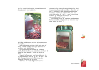 23 – Y el jugo colectado se envasa en botellas,
damajuanas u otro recipiente.
24 – Las bandejas con la fruta se introducen en
el secadero.
Debemos cuidar de colocar sólo una capa de
fresas sobre la bandeja para que el secado se
produzca más rápidamente.
La foto muestra un secadero de bandejas
batch, donde las fresas se deshidratan mediante el
pasaje de aire caliente a través del lecho de
fresas.
Cuando la fruta tiene una humedad entre 20-
24 por ciento p/p (esto es 20-24 g de agua / 100
g de fruta parcialmente deshidratada), las
bandejas se retiran del secadero.
El tiempo de secado depende de varias
variables, tales como tamaño y forma de la fruta;
temperatura, humedad, velocidad y dirección del
aire; y la forma en que la fruta está soportada
durante el secado. En este secadero, con una
velocidad de aire de 2 m/s y a una temperatura
de 50 °C, el tiempo de secado fue de
aproximadamente 6 horas.
Para obtener fresas de humedad intermedia de
buena calidad, la temperatura del aire debe estar
en el rango de 50-65 °C.
Manual de capacitación
35
 