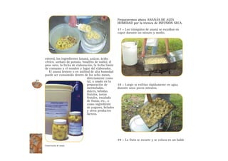 entero), los ingredientes (ananá, azúcar, ácido
cítrico, sorbato de potasio, bisulfito de sodio), el
peso neto, la fecha de elaboración, la fecha límite
de consumo y el nombre y lugar del elaborador.
El ananá (entero o en anillos) de alta humedad
puede ser consumido dentro de los ocho meses,
directamente como
tal, o usado en la
preparación de
mermeladas,
dulces, bebidas
frutales, tortas
frutales, ensalada
de frutas, etc., o
como ingrediente
de yogures, helados
y otros productos
lácteos.
Prepararemos ahora ANANÁS DE ALTA
HUMEDAD por la técnica de INFUSIÓN SECA.
17 – Los triángulos de ananá se escaldan en
vapor durante un minuto y medio.
18 – Luego se enfrían rápidamente en agua
durante unos pocos minutos.
19 – La fruta se escurre y se coloca en un balde
44
Conservación de ananá
 