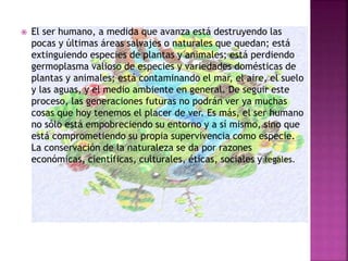  El ser humano, a medida que avanza está destruyendo las
pocas y últimas áreas salvajes o naturales que quedan; está
extinguiendo especies de plantas y animales; está perdiendo
germoplasma valioso de especies y variedades domésticas de
plantas y animales; está contaminando el mar, el aire, el suelo
y las aguas, y el medio ambiente en general. De seguir este
proceso, las generaciones futuras no podrán ver ya muchas
cosas que hoy tenemos el placer de ver. Es más, el ser humano
no sólo está empobreciendo su entorno y a sí mismo, sino que
está comprometiendo su propia supervivencia como especie.
La conservación de la naturaleza se da por razones
económicas, científicas, culturales, éticas, sociales y legales.
 