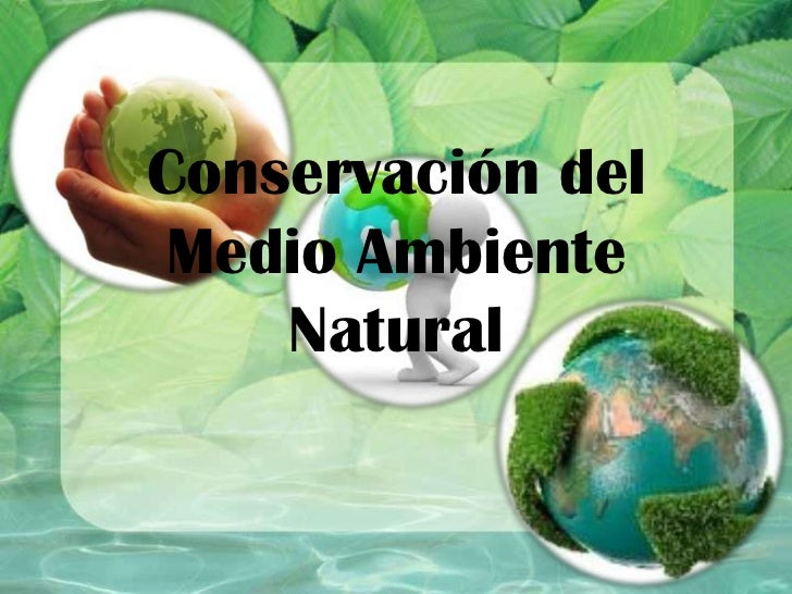 Ensayo Sobre La Conservacion Del Medio Ambiente