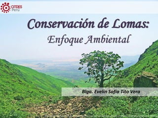 Conservación de Lomas:
Enfoque Ambiental
Blga. Evelin Sofia Tito Vera
http://www.andina.com.pe/agencia/noticia-catalogan-como-ecosistemas-fragiles-a-10-lomas-costeras-region-lima-553604.aspx
Perú
 
