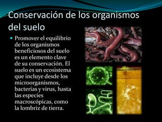 Conservación de los organismos
del suelo
 Promover el equilibrio
de los organismos
beneficiosos del suelo
es un elemento clave
de su conservación. El
suelo es un ecosistema
que incluye desde los
microorganismos,
bacterias y virus, hasta
las especies
macroscópicas, como
la lombriz de tierra.
 