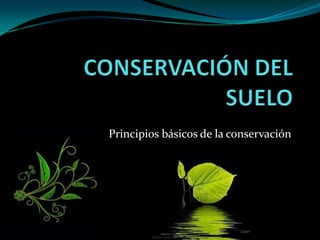 CONSERVACIÓN DEL SUELO Principios básicos de la conservación 
