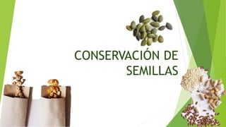 CONSERVACIÓN DE SEMILLAS.pptx