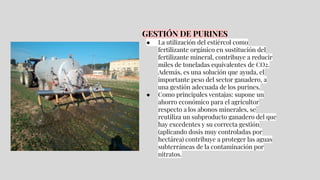 GESTIÓN DE PURINES
● La utilización del estiércol como
fertilizante orgánico en sustitución del
fertilizante mineral, contribuye a reducir
miles de toneladas equivalentes de CO2.
Además, es una solución que ayuda, el
importante peso del sector ganadero, a
una gestión adecuada de los purines.
● Como principales ventajas: supone un
ahorro económico para el agricultor
respecto a los abonos minerales, se
reutiliza un subproducto ganadero del que
hay excedentes y su correcta gestión
(aplicando dosis muy controladas por
hectárea) contribuye a proteger las aguas
subterráneas de la contaminación por
nitratos.
 