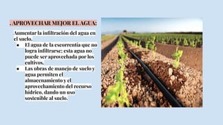 . APROVECHAR MEJOR EL AGUA:
Aumentar la inﬁltración del agua en
el suelo.
● El agua de la escorrentía que no
logra inﬁltrarse; esta agua no
puede ser aprovechada por los
cultivos.
● Las obras de manejo de suelo y
agua permiten el
almacenamiento y el
aprovechamiento del recurso
hídrico, dando un uso
sostenible al suelo.
 