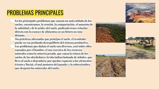 PROBLEMAS PRINCIPALES
● En los principales problemas que causan un mal cuidado de los
suelos, encontramos, la erosión, la compactación, el aumento de
la salinidad y de la acidez del suelo, pudiendo tener relación
directa con la escasez de alimentos en un futuro no muy
distante.
● Sin prácticas adecuadas que protejan el suelo, el resultado
puede ser un profundo desequilibrio del sistema productivo.
● Los problemas que dañan el suelo son diversos, casi todos ellos
causados por el hombre: el uso excesivo de los recursos
naturales como la minería pesada, que causa la rotura de los
suelos de los alrededores; la tala indiscriminada de árboles, que
lleva al suelo a degradarse por quedar expuesto a los elementos
(viento y lluvia), el mal pastoreo del ganado; y la sobresiembra,
que desgasta los minerales del suelo.
 