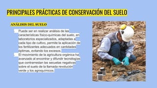 PRINCIPALES PRÁCTICAS DE CONSERVACIÓN DEL SUELO
ANÁLISIS DEL SUELO
● Puede ser en realizar análisis de las
características físico-químicas del suelo, en
laboratorios especializados, adaptadas a
cada tipo de cultivo, permite la aplicación de
los fertilizantes adecuados en cantidades
óptimas, evitando los excesos.
● El movimiento de la agricultura orgánica ha
avanzado al encontrar y difundir tecnologías
que contrarrestan las secuelas negativas
sobre el suelo de la llamada revolución
verde y los agroquímicos.
 
