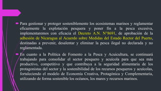  Para gestionar y proteger sosteniblemente los ecosistemas marinos y reglamentar
eficazmente la explotación pesquera y poner fin a la pesca excesiva,
implementaremos con eficacia el Decreto A.N. N°8691, de aprobación de la
adhesión de Nicaragua al Acuerdo sobre Medidas del Estado Rector del Puerto,
destinadas a prevenir, desalentar y eliminar la pesca ilegal no declarada y no
reglamentada.
 En cuanto a la Política de Fomento a la Pesca y Acuicultura, se continuará
trabajando para consolidar el sector pesquero y acuícola para que sea más
productivo, competitivo y que contribuya a la seguridad alimentaria de los
protagonistas del sector y la sostenibilidad de los recursos pesqueros y acuícolas,
fortaleciendo el modelo de Economía Creativa, Protagónica y Complementaria,
utilizando de forma sostenible los océanos, los mares y recursos marinos.
 