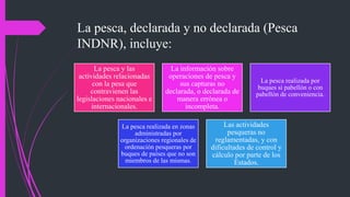 La pesca, declarada y no declarada (Pesca
INDNR), incluye:
La pesca y las
actividades relacionadas
con la pesa que
contravienen las
legislaciones nacionales e
internacionales.
La información sobre
operaciones de pesca y
sus capturas no
declarada, o declarada de
manera errónea o
incompleta.
La pesca realizada por
buques si pabellón o con
pabellón de conveniencia.
La pesca realizada en zonas
administradas por
organizaciones regionales de
ordenación pesqueras por
buques de países que no son
miembros de las mismas.
Las actividades
pesqueras no
reglamentadas, y con
dificultades de control y
cálculo por parte de los
Estados.
 