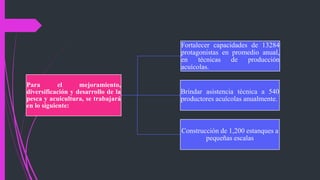 Para el mejoramiento,
diversificación y desarrollo de la
pesca y acuicultura, se trabajará
en lo siguiente:
Fortalecer capacidades de 13284
protagonistas en promedio anual,
en técnicas de producción
acuícolas.
Brindar asistencia técnica a 540
productores acuícolas anualmente.
Construcción de 1,200 estanques a
pequeñas escalas
 