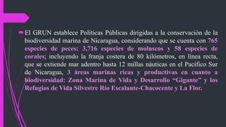 El GRUN establece Políticas Públicas dirigidas a la conservación de la
biodiversidad marina de Nicaragua, considerando que se cuenta con 765
especies de peces; 3,716 especies de moluscos y 58 especies de
corales; incluyendo la franja costera de 80 kilómetros, en línea recta,
que se extiende mar adentro hasta 12 millas náuticas en el Pacífico Sur
de Nicaragua, 3 áreas marinas ricas y productivas en cuanto a
biodiversidad: Zona Marina de Vida y Desarrollo “Gigante” y los
Refugios de Vida Silvestre Río Escalante-Chacocente y La Flor.
 