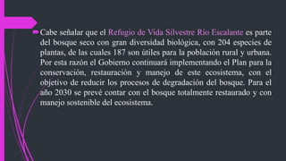 Cabe señalar que el Refugio de Vida Silvestre Río Escalante es parte
del bosque seco con gran diversidad biológica, con 204 especies de
plantas, de las cuales 187 son útiles para la población rural y urbana.
Por esta razón el Gobierno continuará implementando el Plan para la
conservación, restauración y manejo de este ecosistema, con el
objetivo de reducir los procesos de degradación del bosque. Para el
año 2030 se prevé contar con el bosque totalmente restaurado y con
manejo sostenible del ecosistema.
 