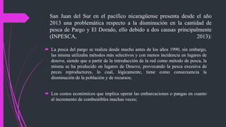San Juan del Sur en el pacífico nicaragüense presenta desde el año
2013 una problemática respecto a la disminución en la cantidad de
pesca de Pargo y El Dorado, ello debido a dos causas principalmente
(INPESCA, 2013):
 La pesca del pargo se realiza desde mucho antes de los años 1990, sin embargo,
las misma utilizaba métodos más selectivos y con menos incidencia en lugares de
desove, siendo que a partir de la introducción de la red como método de pesca, la
misma se ha producido en lugares de Desove, provocando la pesca excesiva de
peces reproductores, lo cual, lógicamente, tiene como consecuencia la
disminución de la población y de recursos;
 Los costos económicos que implica operar las embarcaciones o pangas en cuanto
al incremento de combustibles muchas veces;
 