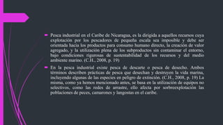  Pesca industrial en el Caribe de Nicaragua, es la dirigida a aquellos recursos cuya
explotación por los pescadores de pequeña escala sea imposible y debe ser
orientada hacia los productos para consumo humano directo, la creación de valor
agregado, y la utilización plena de los subproductos sin contaminar el entorno,
bajo condiciones rigurosas de sustentabilidad de los recursos y del medio
ambiente marino. (C.H., 2008, p. 19)
 En la pesca industrial existe pesca de descarte o pesca de desecho. Ambos
términos describen prácticas de pesca que desechan y destruyen la vida marina,
incluyendo algunas de las especies en peligro de extinción. (C.H., 2008, p. 19) La
misma, como ya hemos mencionado antes, se basa en la utilización de equipos no
selectivos, como las redes de arrastre, ello afecta por sorbreexplotación las
poblaciones de peces, camarones y langostas en el caribe.
 