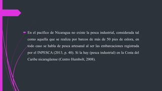  En el pacífico de Nicaragua no existe la pesca industrial, considerada tal
como aquella que se realiza por barcos de más de 50 pies de eslora, en
todo caso se habla de pesca artesanal al ser las embarcaciones registrada
por el INPESCA (2013, p. 40). Si la hay (pesca industrial) en la Costa del
Caribe nicaragüense (Centro Humbolt, 2008).
 