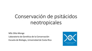 Conservación de psitácidos
neotropicales
MSc Otto Monge
Laboratorio de Genética de la Conservación
Escuela de Biología, Universidad de Costa Rica
 