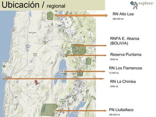 Ubicación /  regional RN Alto Loa 286.000 há RN Los Flamencos 73.000 há RN La Chimba 2500 há PN Llullaillaco 268.000 há Reserva Puritama 8400 há RNFA E. Abaroa (BOLIVIA) 