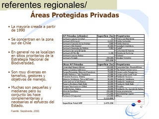 referentes regionales/  