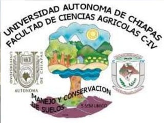 UNIVERSIDAD AUTONOMA DE CHIAPAS
FACULTAD DE CIENCIAS AGRICOLAS C-IV
EUTROFISACION (CAUSAS Y
CONSECUENCIAS AMBIENTALES)
POR WILIAM ROGELIOMORALES SALAS
 