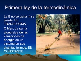 Primera ley de la termodinámica La E no se gana ni se pierde, SE TRANSFORMA.  O bien: La suma algebraica de las variaciones de energía de un sistema en sus distintas formas, ES CONSTANTE. 