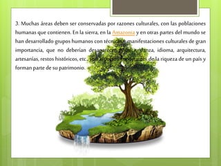 3. Muchas áreas deben ser conservadas por razones culturales, con las poblaciones
humanas que contienen. En la sierra, en la Amazonia y en otras partes del mundo se
han desarrollado grupos humanos con técnicas y manifestaciones culturales de gran
importancia, que no deberían desaparecer. Música, danza, idioma, arquitectura,
artesanías, restos históricos, etc., son aspectos importantes de la riqueza de un país y
forman parte desu patrimonio.
 