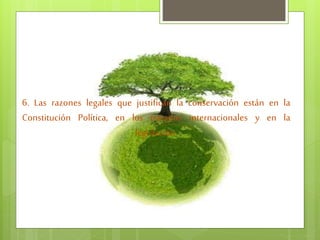 6. Las razones legales que justifican la conservación están en la
Constitución Política, en los tratados internacionales y en la
legislación.
 
