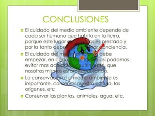 CONCLUSIONES
 El cuidado del medio ambiente depende de
cada ser humano que habita en la tierra,
porque este lugar que vivimos es prestado y
por lo tanto debemos de tomar conciencia.
 El cuidado del medio ambiente debe
empezar, en cada casa, tal ves así podamos
evitar mas adelante un sufrimiento, que
nosotros mismos estamos causando.
 La conservación del medio ambiente es
importante, conservar nuestra cultura, los
origenes, etc
 Conservar las plantas, animales, agua, etc.
 