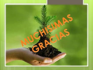 cuidado y conservacion del medio ambiente