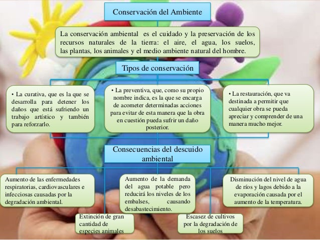 Mapa conceptual. Conservación del Ambiente