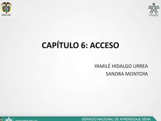 CAPÍTULO 6: ACCESO

            YAMILÉ HIDALGO URREA
                SANDRA MONTOYA
 