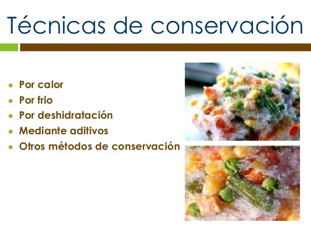 5 tecnicas de conservacion de alimentos conservacion de alimentos manzana 5 tecnicas de conservacion de alimentos conservacion de alimentos manzana