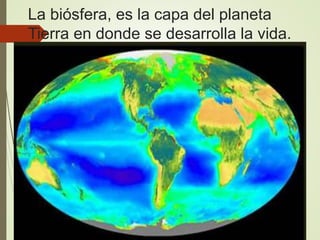 La biósfera, es la capa del planeta
Tierra en donde se desarrolla la vida.
 