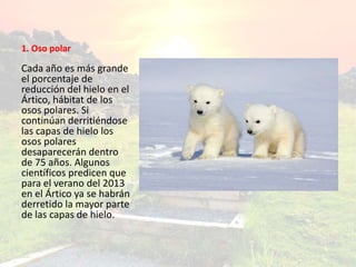 1. Oso polar
Cada año es más grande
el porcentaje de
reducción del hielo en el
Ártico, hábitat de los
osos polares. Si
continúan derritiéndose
las capas de hielo los
osos polares
desaparecerán dentro
de 75 años. Algunos
científicos predicen que
para el verano del 2013
en el Ártico ya se habrán
derretido la mayor parte
de las capas de hielo.
 