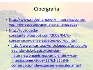 Cibergrafia
• http://www.slideshare.net/mjmorales/conser
vacin-de-especies-animales-amenazadas
• http://busqueda-
constante.blogspot.com/2008/04/la-
conservacin-de-las-especies-por-qu.html
• http://www.icarito.cl/enciclopedia/articulo/s
egundo-ciclo-basico/ciencias-
naturales/organismos-ambientes-y-sus-
interacciones/2009/12/63-2158-9-
conservacion-de-especies-animales.shtml
 