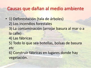 Causas que dañan al medio ambiente
• 1) Deforestación (tala de árboles)
2) Los incendios forestales
3) La contaminación (arrojar basura al mar o a
la calle)
4) Las fábricas
5) Todo lo que sea botellas, bolsas de basura
etc
6) Construir fábricas en lugares donde hay
vegetación.
 