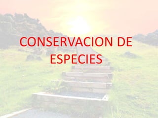 CONSERVACION DE
ESPECIES
 