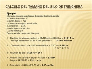 CALCULO DEL TAMAÑO DEL SILO DE TRINCHERA
Ejemplo:
Información necesaria para el calculo de cantidad de alimento a ensilar :
a. Cantidad de animales :10
b. Numero de días : 120
c. Cantidad de ensilaje por animal: 40 lbs.
d. Altura del silo : 2.5 m.
e. Ancho superior del silo : 4 m
f. Ancho inferior : 3 m
Producto a ensilar : sorgo, maiz, King grass
1. Cantidad de alimento: (axbxc) = 10x120x40= 48,000 lbs. = 21.81 T m
ensilaje necesario = 21.81 + 10% perdidas = 24 Ton. Metricas
2. Consumo diario : (a x c) 10 x 40= 400 lbs. = 0.2 T m = 0.285 m3
(1 m3 = 0.7 T m)
3. Volumen del silo : 34.28 m3 = 24 T
4. Área del silo : (e+f/2) x altura = 4+3x2.5 = 8.75 M2
Largo = 34.28/8.75 = 3.91 o 4 m.
5. Corte diario = 0.285 m3/ 8.75 m2 = 4.57 cm./dia
 