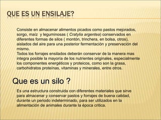 QUE ES UN ENSILAJE?
Consiste en almacenar alimentos picados como pastos mejorados,
sorgo, maíz y leguminosas ( Cratylia argentea) conservados en
diferentes formas de silos ( montón, trinchera, en bolsa, otros),
aislados del aire para una posterior fermentación y preservación del
mismo.
Todos los forrajes ensilados deberán conservar de la manera mas
integra posible la mayoría de los nutrientes originales, especialmente
los componentes energéticos y proteicos, como son la grasa,
carbohidratos proteínas, vitaminas y minerales, entre otros.
Que es un silo ?
Es una estructura construida con diferentes materiales que sirve
para almacenar y conservar pastos y forrajes de buena calidad,
durante un periodo indeterminado, para ser utilizados en la
alimentación de animales durante la época critica.
 